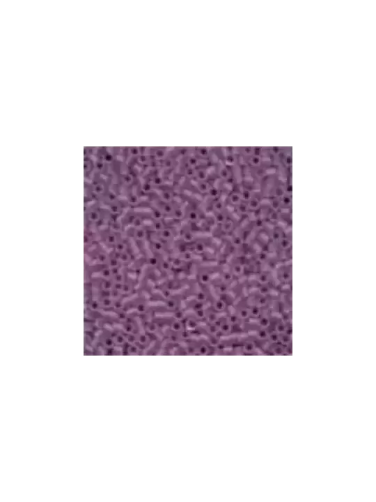 Perles à broder MILL HILL 10094 Matte Heather - Magnifica Beads
