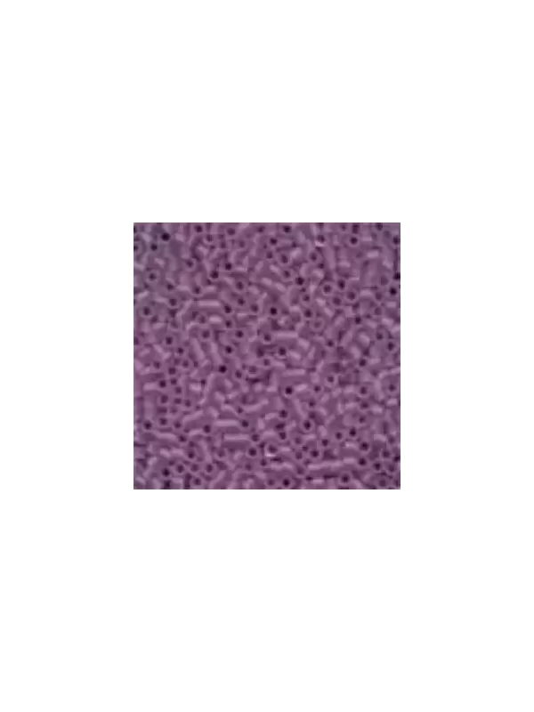 Perles à broder MILL HILL 10094 Matte Heather - Magnifica Beads