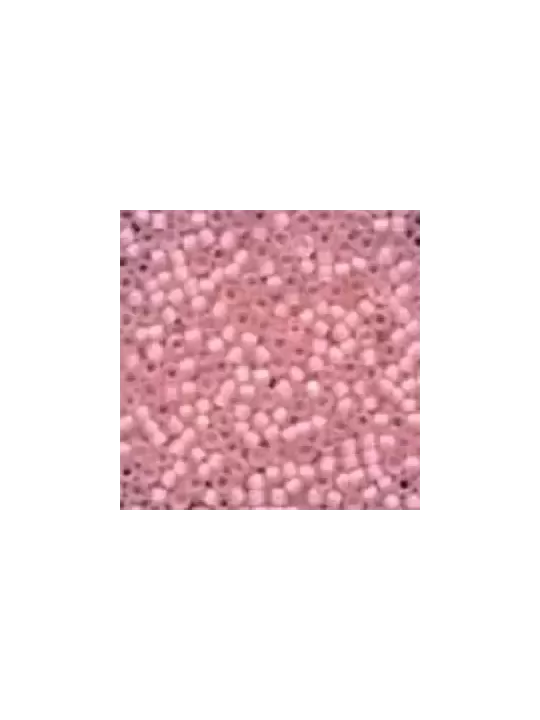 Perles à broder MILL HILL 62033 Frosted Dusty Pink - Frosted Seed Beads