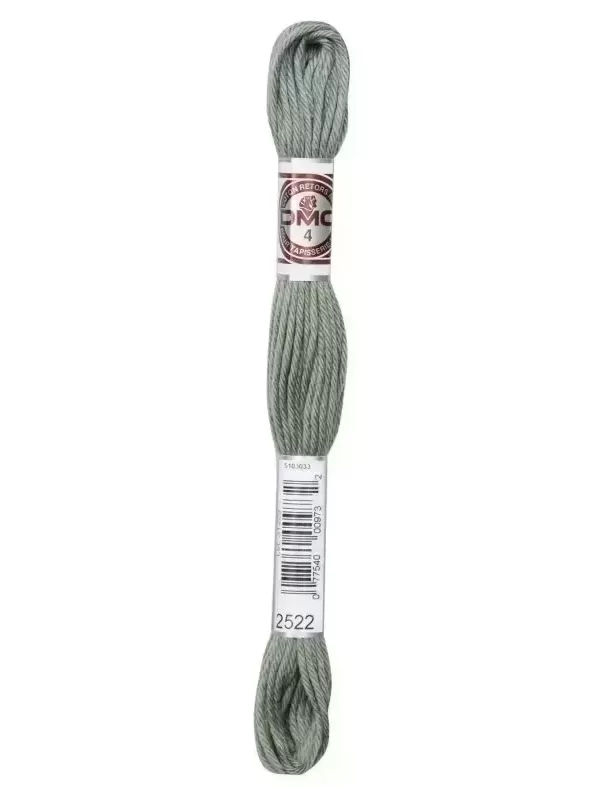 DMC TAPISSERIE COTON RETORS MAT N° 2522