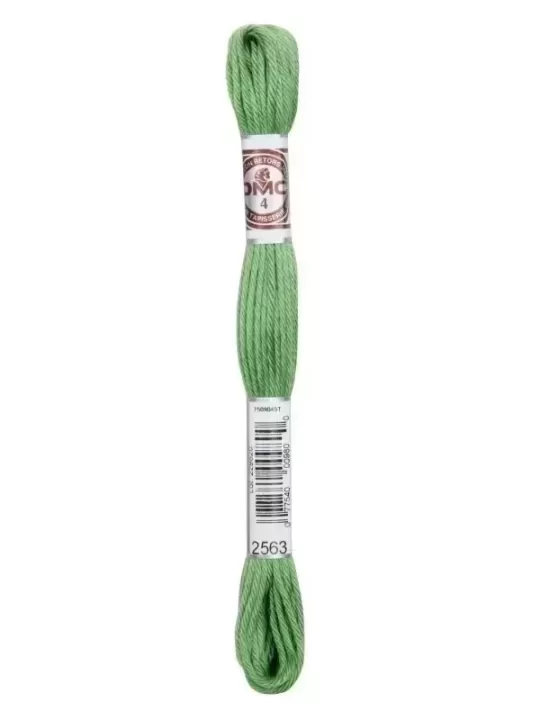 DMC TAPISSERIE COTON RETORS MAT N° 2563