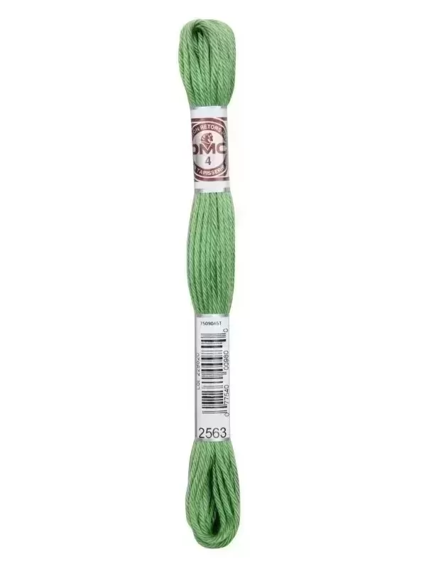 DMC TAPISSERIE COTON RETORS MAT N° 2563