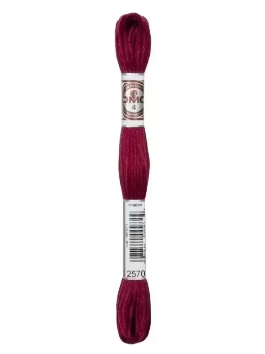 DMC TAPISSERIE COTON RETORS MAT N° 2570