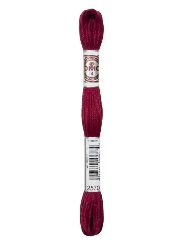 DMC TAPISSERIE COTON RETORS MAT N° 2570