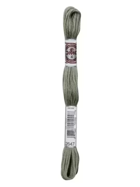 DMC TAPISSERIE COTON RETORS MAT N° 2647