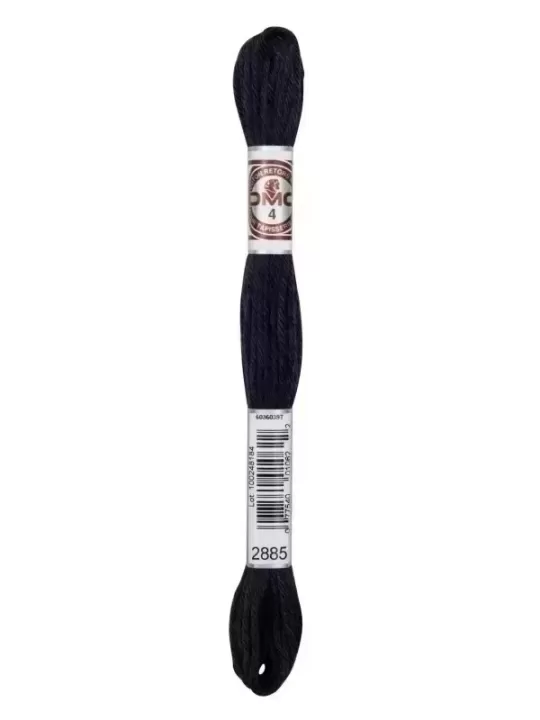 DMC TAPISSERIE COTON RETORS MAT N° 2885