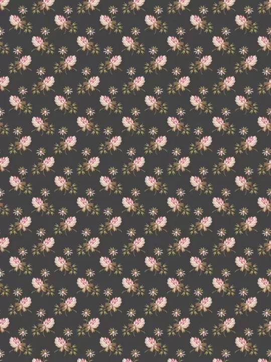 MOONSTONE par Edyta Sitar 9451.K Clover Coal
