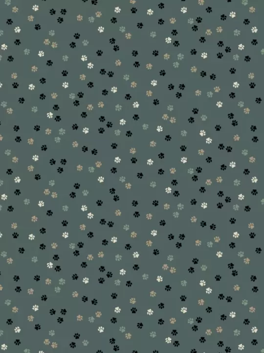 WINDHAM FABRICS - FAT CAT par Whistler Studios 52272.03