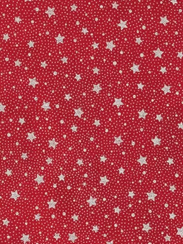 ROBERT KAUFMAN FABRICS - HOLIDAY FLOURISH par Studio RK 19259.93