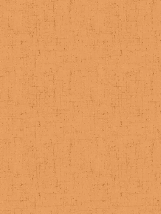 ANDOVER FABRICS - COTTAGE CLOTH 2 par Renée Nanneman 428.O3 Abricot