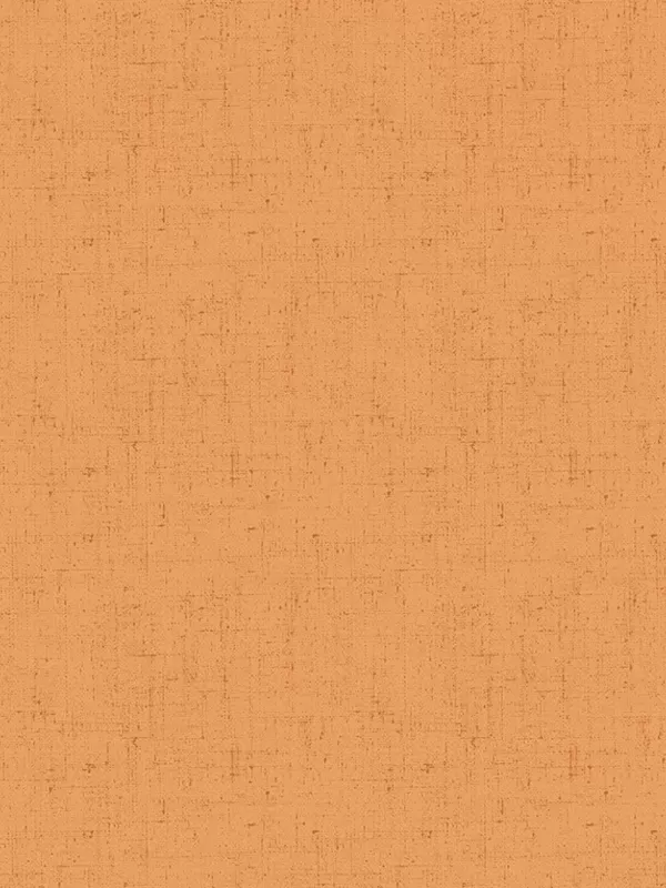 ANDOVER FABRICS - COTTAGE CLOTH 2 par Renée Nanneman 428.O3 Abricot