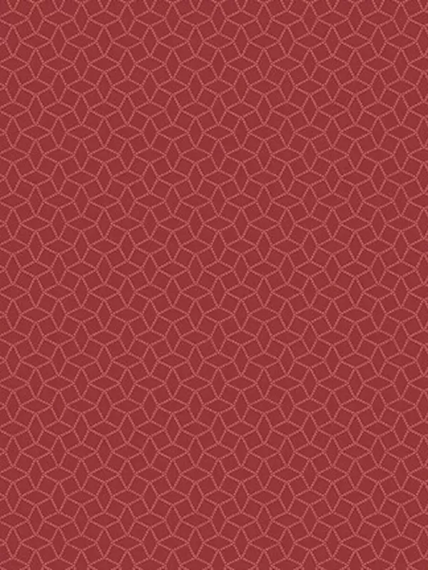 ANDOVER FABRICS - TONAL DITZYS RED Réf 9742-R