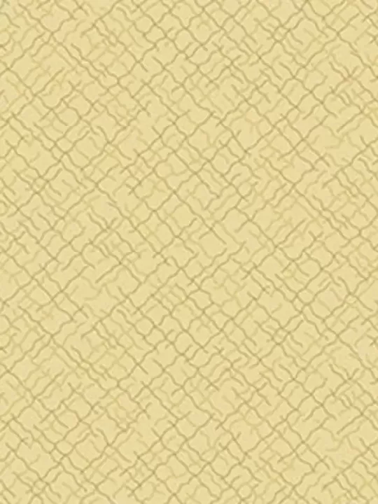 ANDOVER FABRICS - TRINKETS 2020 par Kathy Hall Réf 9004-N1
