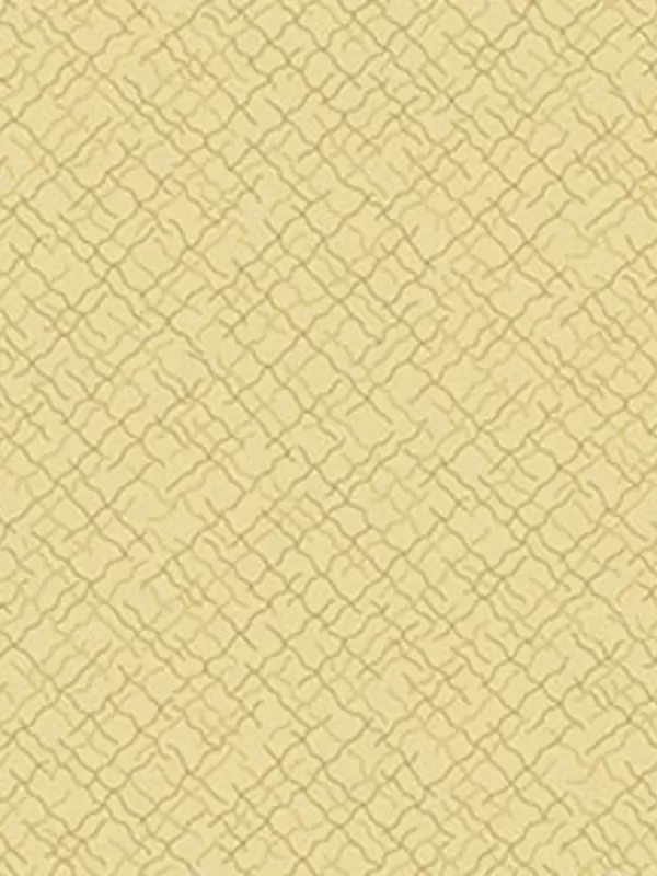 ANDOVER FABRICS - TRINKETS 2020 par Kathy Hall Réf 9004-N1
