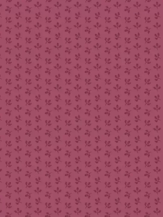 ANDOVER FABRICS - WILDBERRY CREEK par Renée Nanneman 304.P Acorns Plum