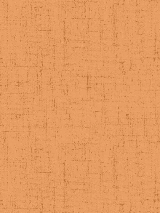 ANDOVER FABRICS - COTTAGE CLOTH 2 par Renée Nanneman 428.O3 Abricot