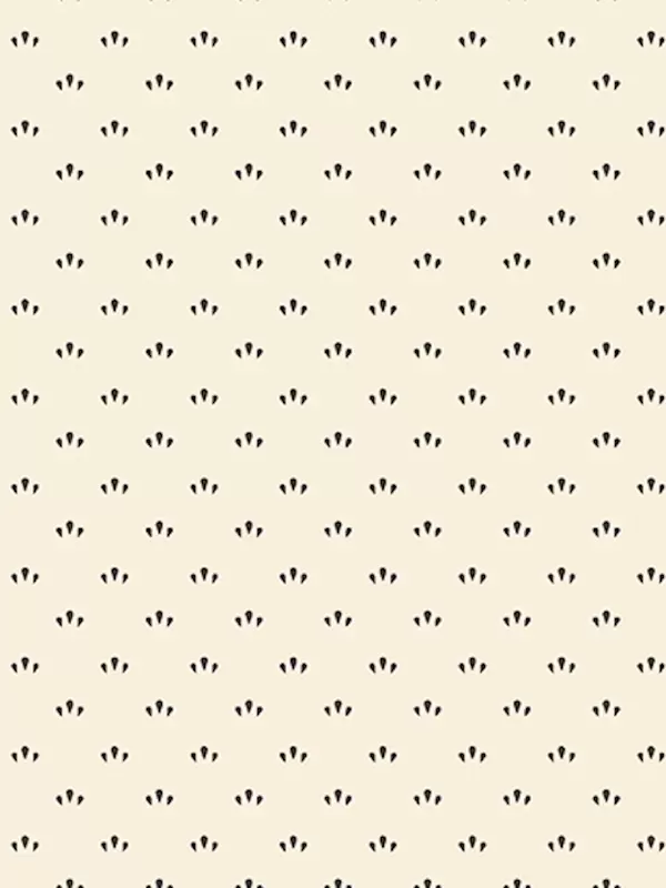 Tissu Patchwork Everyday Essentials par Sheryl Johnson 310898D Cream One