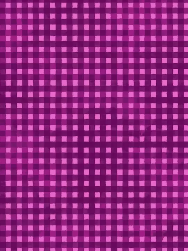 Tissu Jewel par P&B Textiles 5357-F Gingham Fuchsia